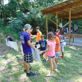 DSC0018398b66cee38facb6d