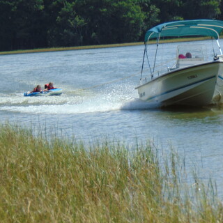 DSC001969cece88322a70f8a