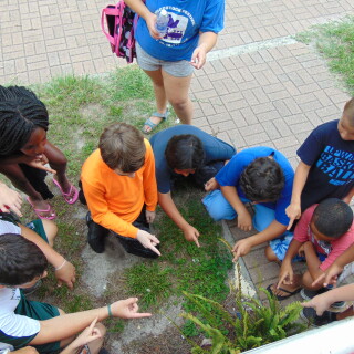 DSC00211f673cbad26c5eebc