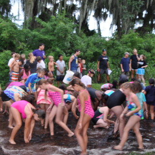 DSC_02528f9545231e9b2e22