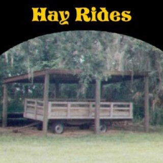 fac_hayride