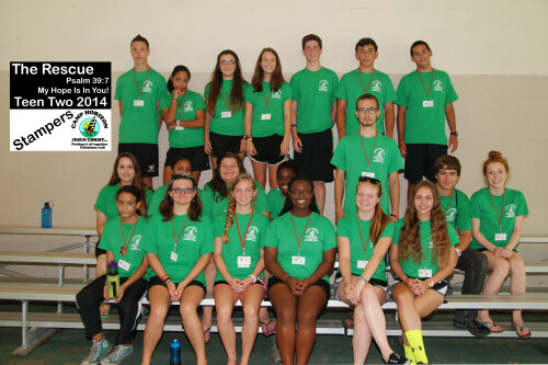 2014-T2-Stampers.jpg