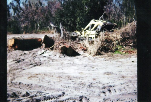 1974-1975-Land-Clearing.jpg