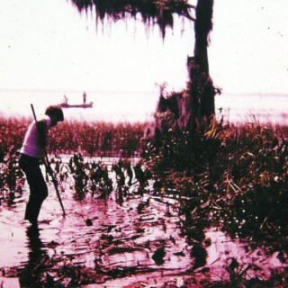 1975-1976_Waterfront